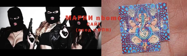 мет Алексин