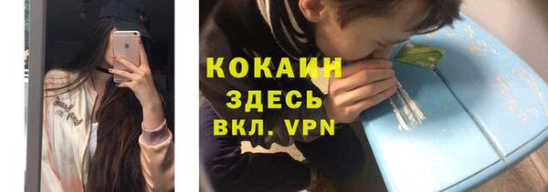 мет Алексин