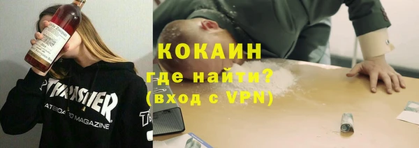 мет Алексин