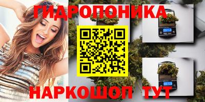 гидра Старая Купавна