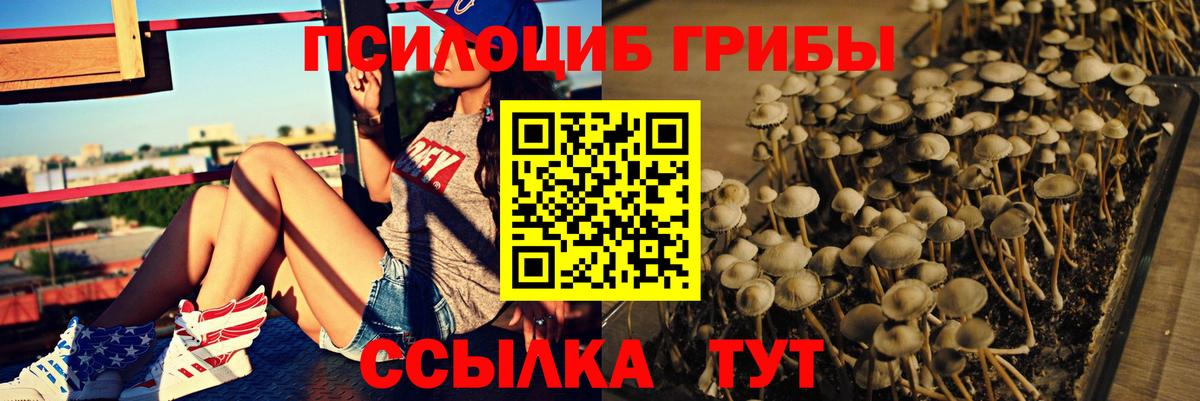 Псилоцибиновые грибы GOLDEN TEACHER Новороссийск